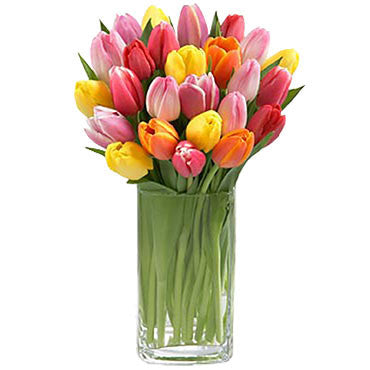 Multi-Color Tulips Arranged in a Vase